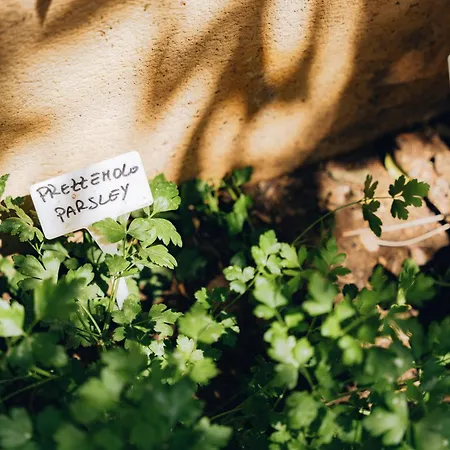 Giardino Del Foro Nyaraló