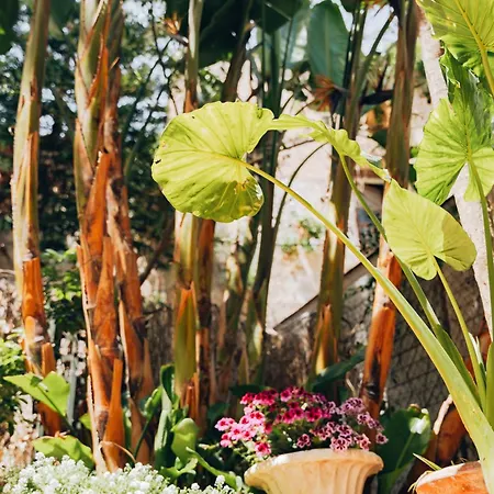 Giardino Del Foro 팔레르모